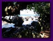 lavena coastal walk and waterfall (19).jpg